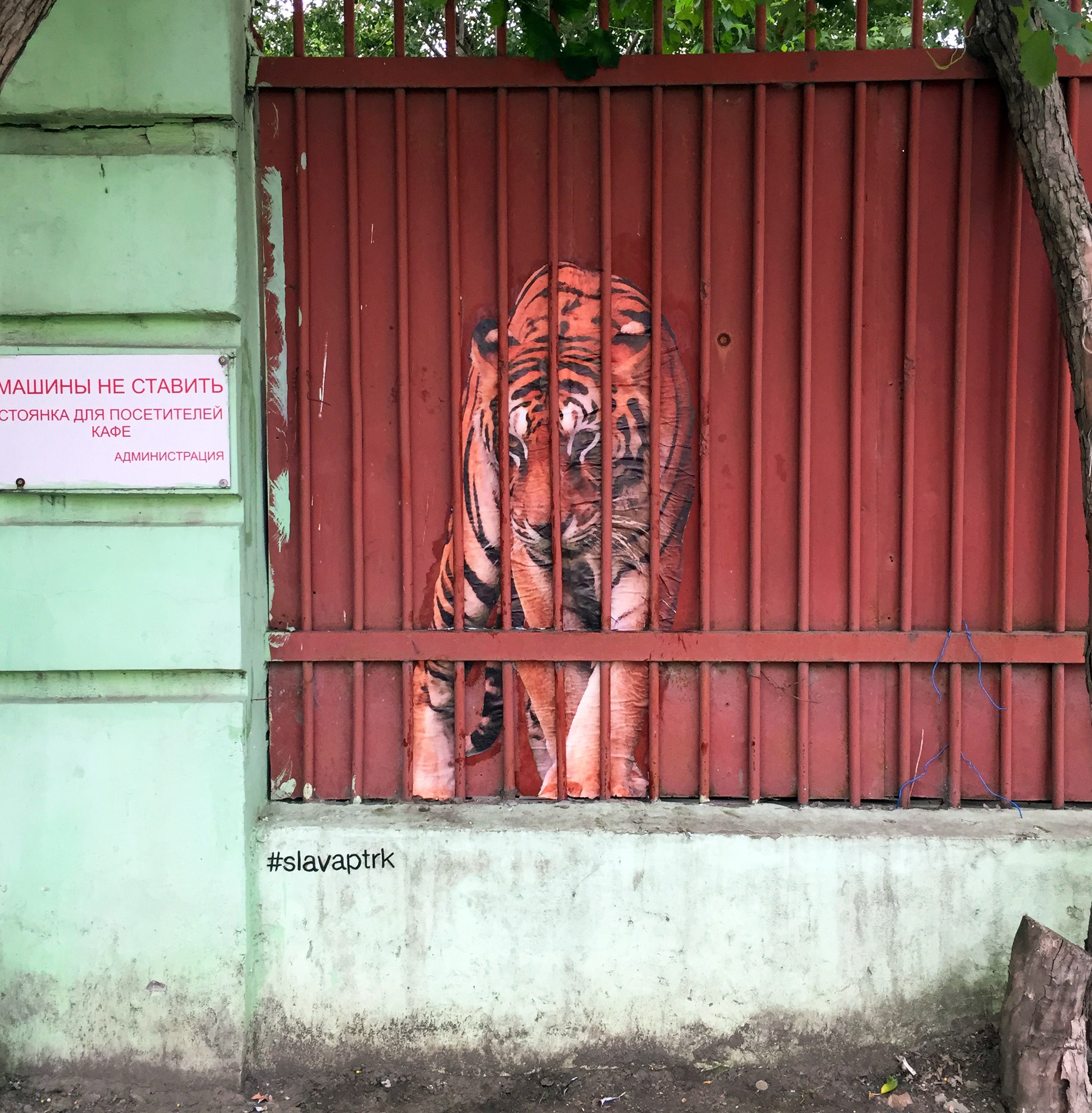 Тигр в клетке на Уктусе