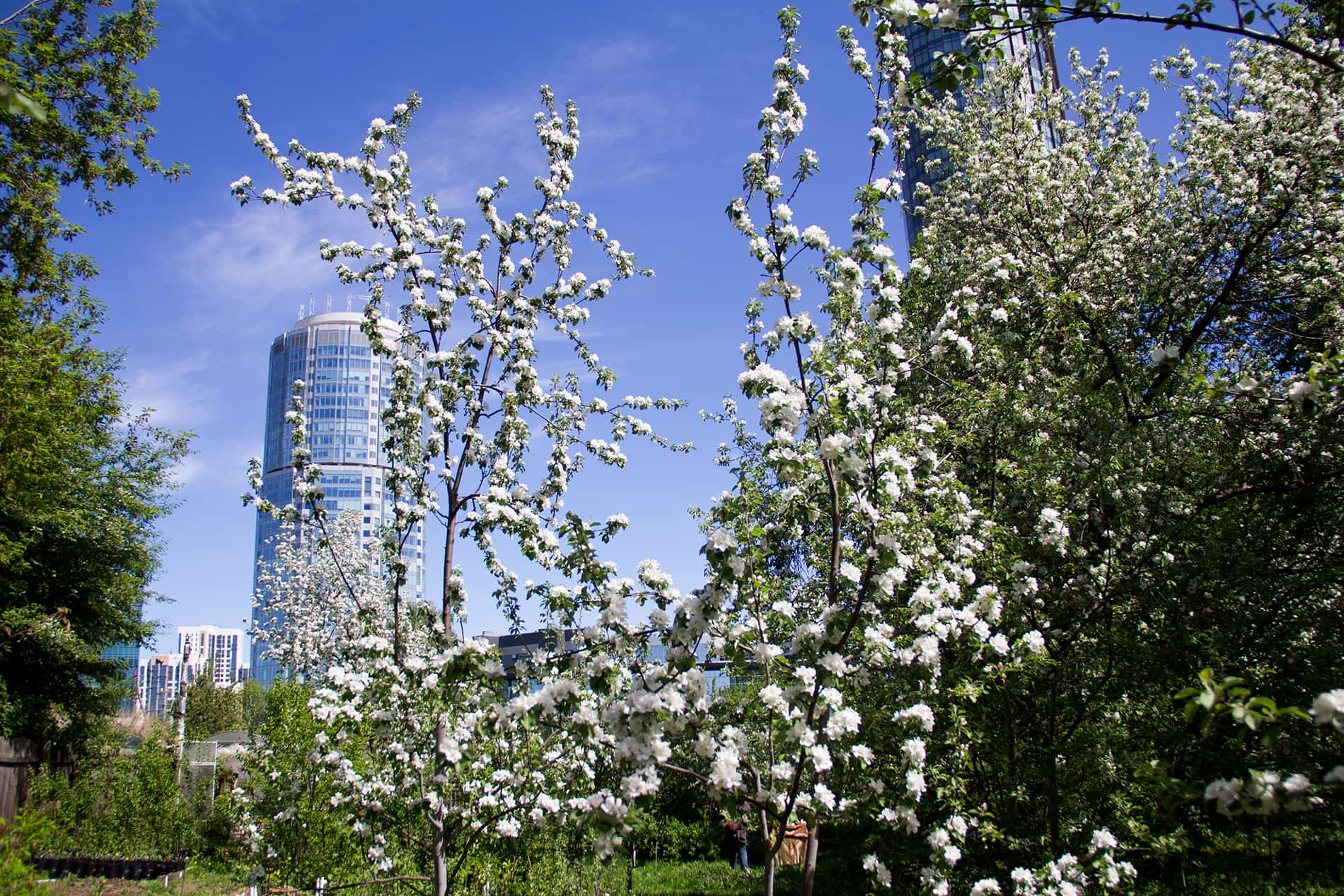 Лучшее время для посещения сада Казанцева — весна или осень